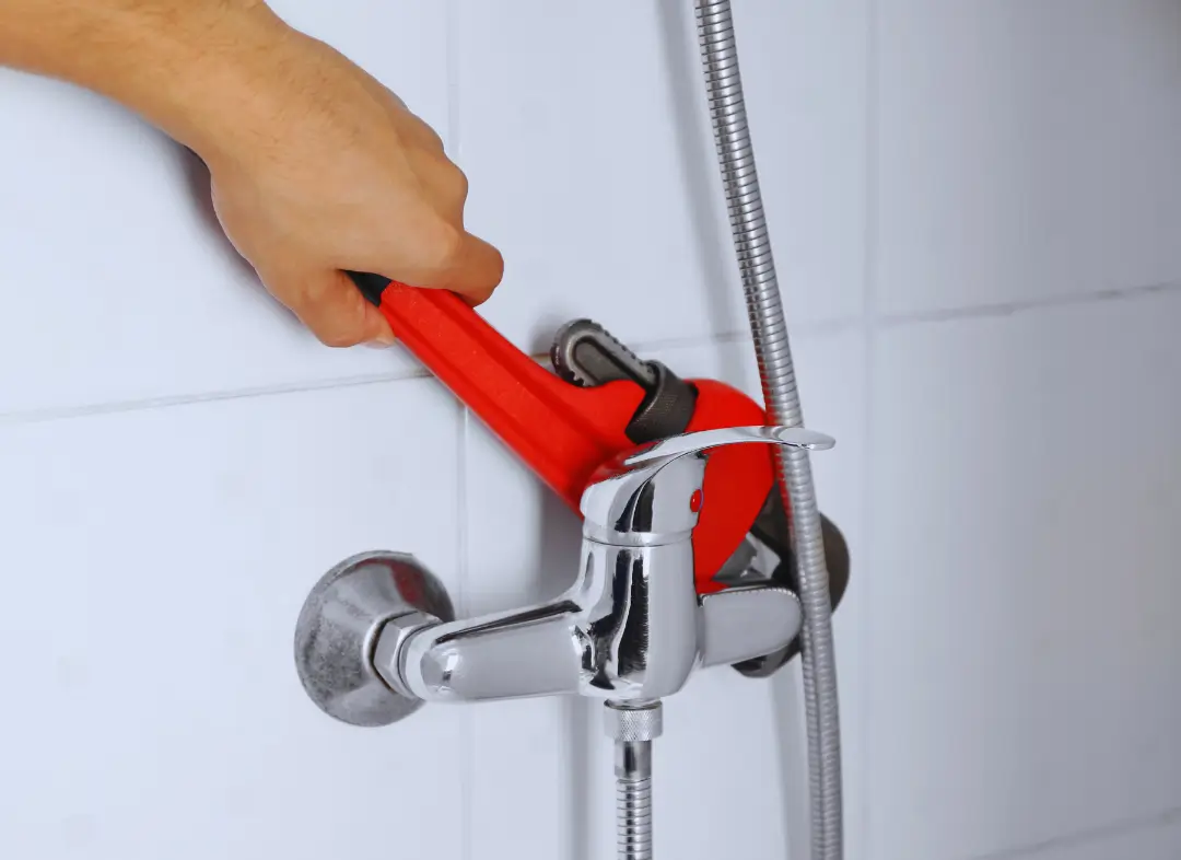 Mitigeur Thermostatique douche Allinges