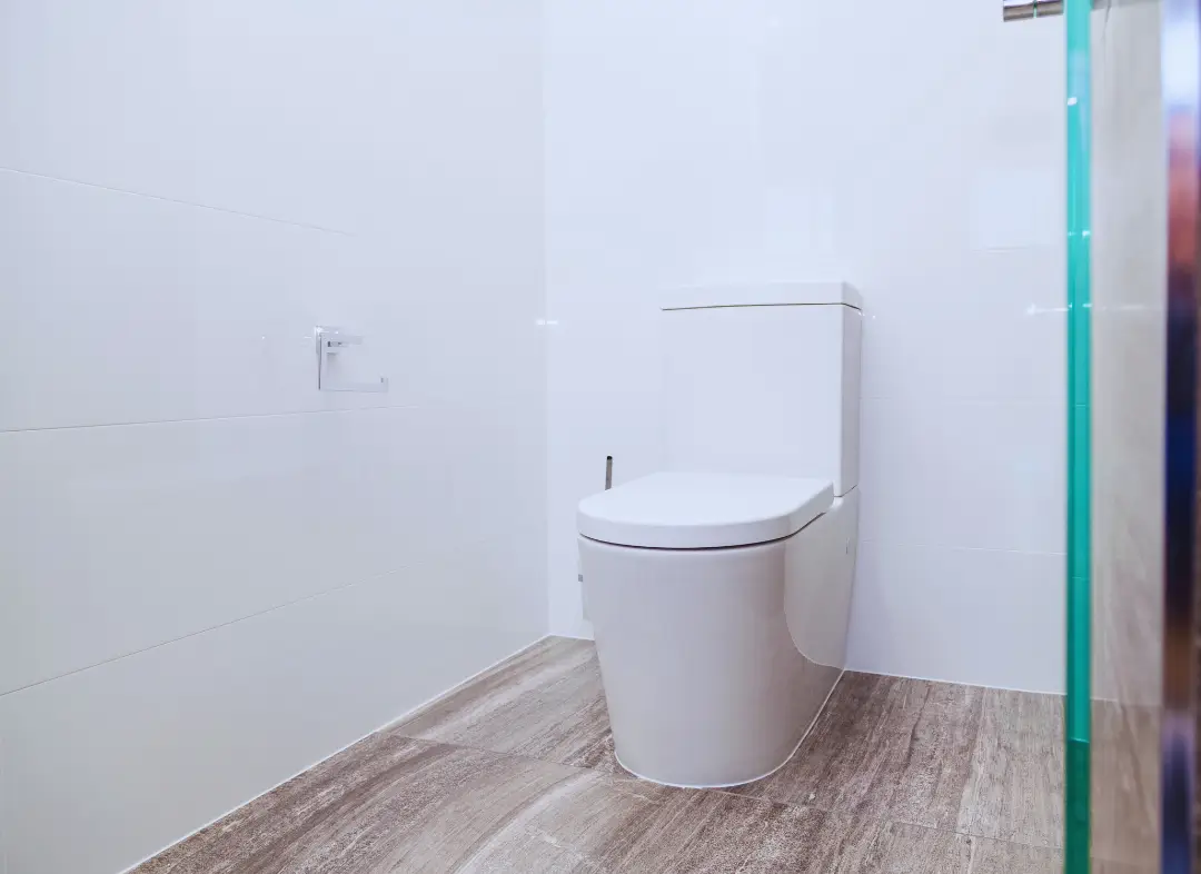 Remplacement de wc Allinges