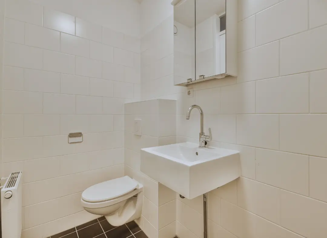 Pose WC Suspendu Allinges